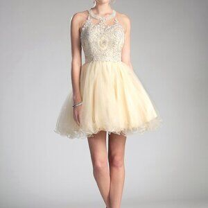 Halter Neck A-Line Shape Prom Dress CDUJ0119